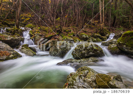 音水渓谷 18670639
