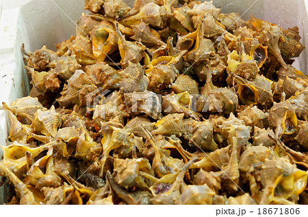 Traditional cooking of the Mediterranean.  18671806