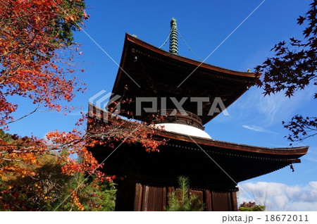 紅葉の京都「常寂光寺」：多宝塔 18672011