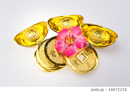 Chinese New Year - Wealth Ornaments 18672238