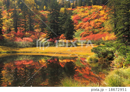 秋の大雪高原の紅葉 秋の大雪高原の紅葉 18672951