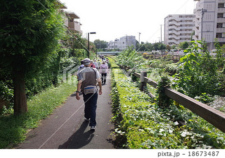 ウォーキング ウォーキング 18673487