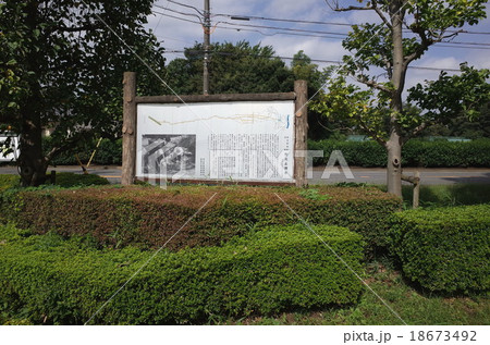 野火止用水 18673492