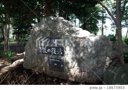 野火止用水 野火止用水 18673903