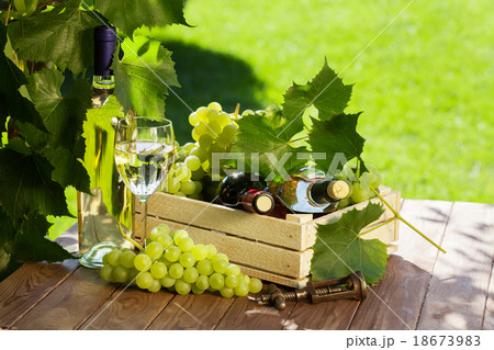 White and red wine bottle, glass, vine and grapes White and red wine bottle, glass, vine and grapes 18673983