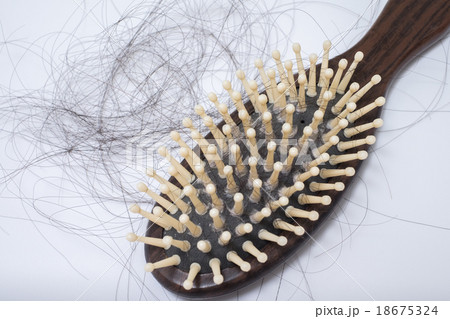 Hair loss problem on bruch, on white background Hair loss problem on bruch, on white background 18675324