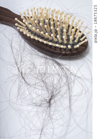 Hair loss problem on bruch, on white background 18675325