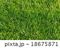 green grass background 18675871