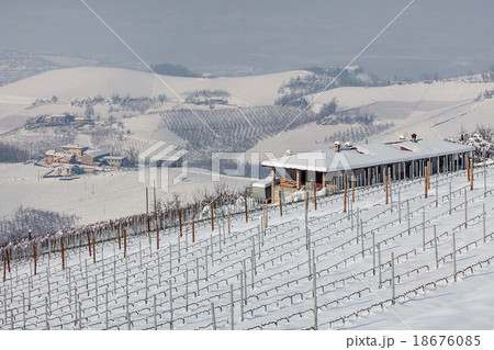 Hills and vineyards under the snow in Italy. 18676085