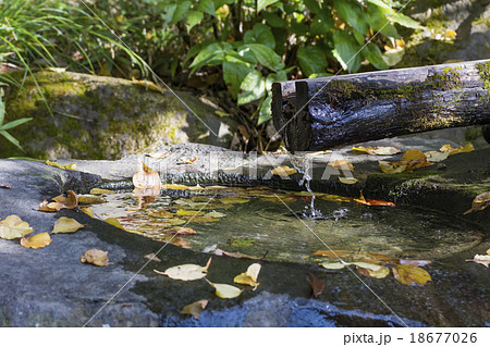 つくばい 18677026