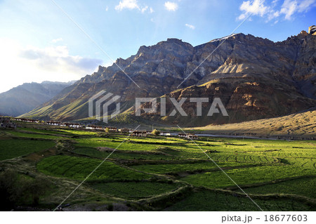 Organic paddy field near rock mountain valley Organic paddy field near rock mountain valley 18677603