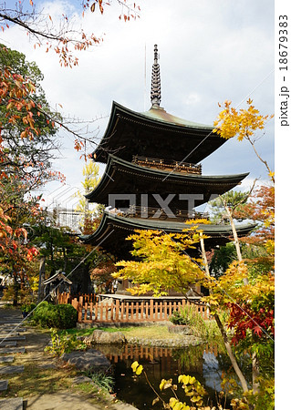 信濃国分寺三重塔 18679383