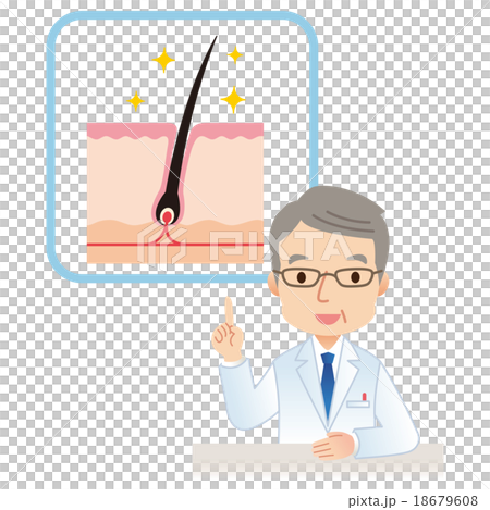 毛根の説明　医者 18679608