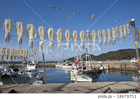 呼子のイカを干す風景 呼子のイカを干す風景 18679751