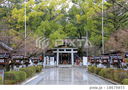 雨の武田神社 18679855