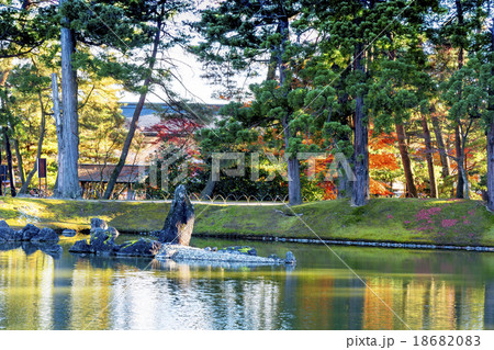 秋の毛越寺・浄土庭園 秋の毛越寺・浄土庭園 18682083