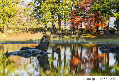 秋の毛越寺・浄土庭園 秋の毛越寺・浄土庭園 18682097