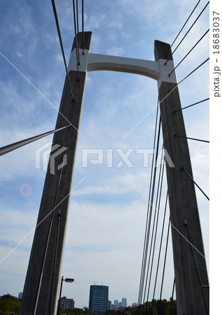 木場公園 18683037