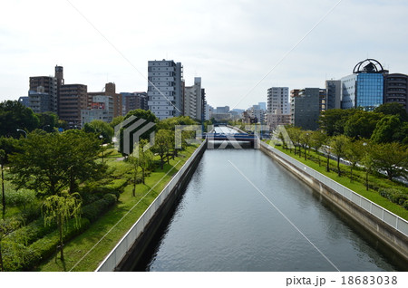 木場公園 木場公園 18683038