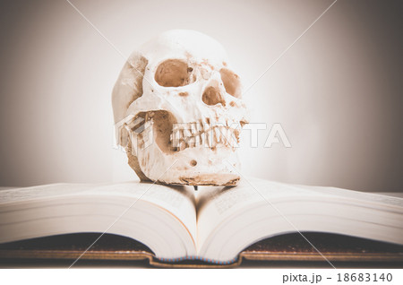 読書 骸骨 18683140