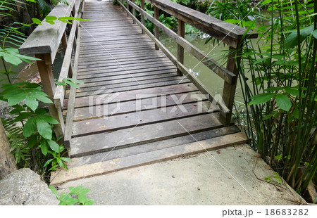 wooden footbridge across the pond wooden footbridge across the pond 18683282