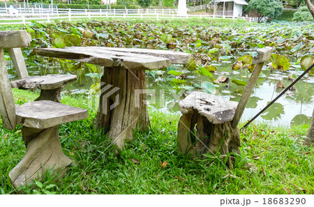 wooden seat at the waterside of water lily pond wooden seat at the waterside of water lily pond 18683290