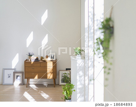 観葉植物が飾られた部屋 18684893