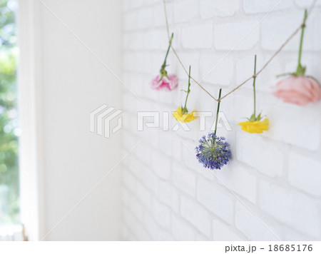 壁に吊るした花 壁に吊るした花 18685176