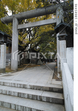 船橋大神宮 18685446