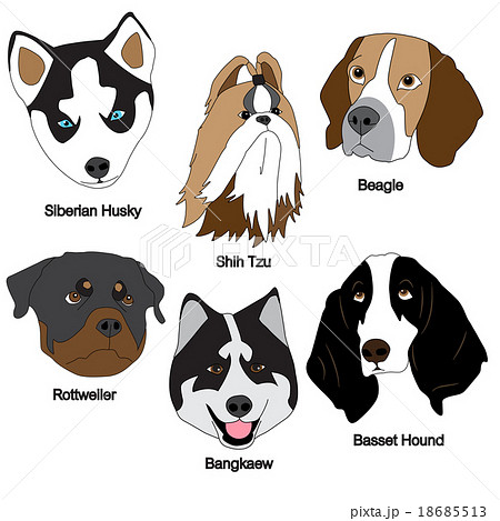 Dog Face Set Dog Face Set 18685513