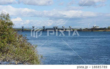 馬飼大橋　馬飼頭首工 18685789