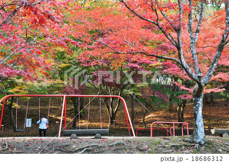 秋の公園 秋の公園 18686312