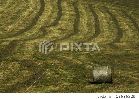 牧草地 牧草地 18686529