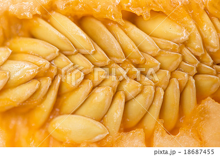 Close up of cantaloupe melon seed 18687455