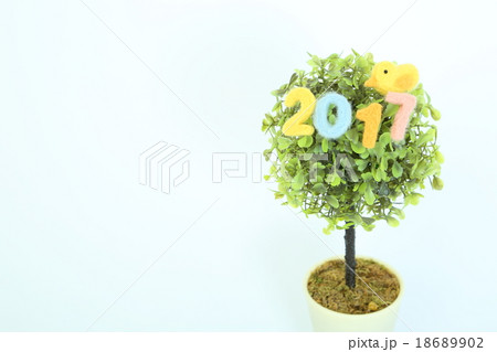 ２０１７とり 18689902