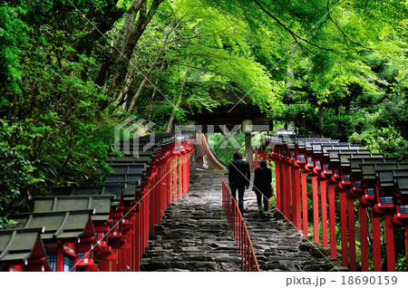 貴船神社　参道 18690159