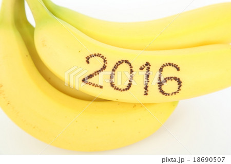 バナナ２０１６ 18690507