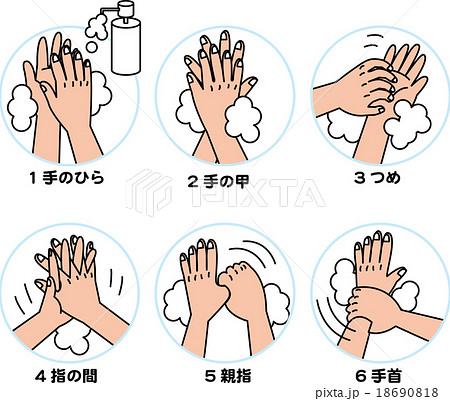 手洗いの仕方 図 解説 のイラスト素材
