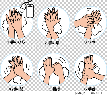 手洗いの仕方 図 解説 のイラスト素材 18690818 Pixta