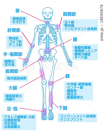 骨格調整・スポーツ障害 18690878