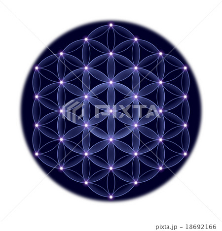 Cosmic Flower of Life With Stars on White Backgrou 18692166
