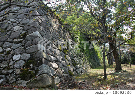 松坂城　本丸下段石垣 18692536