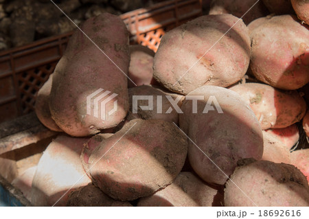 Potatoes on the market, Morocco 18692616
