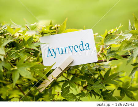 The Word „Ayurveda“ in a fan-maple tree The Word „Ayurveda“ in a fan-maple tree 18692942