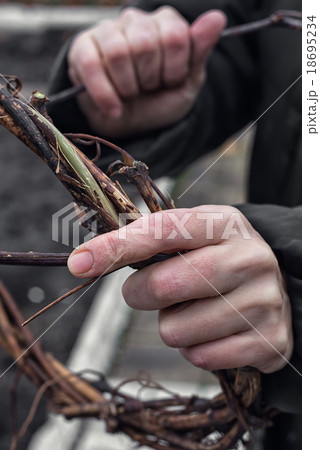 Weaving wreath of vines 18695234