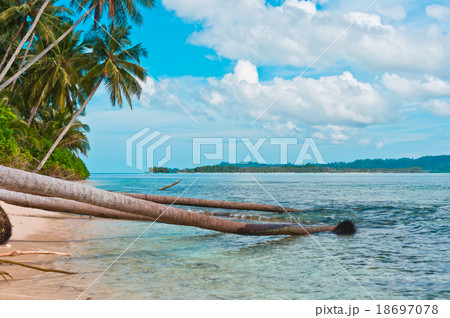 Coast of remote tropical island Coast of remote tropical island 18697078