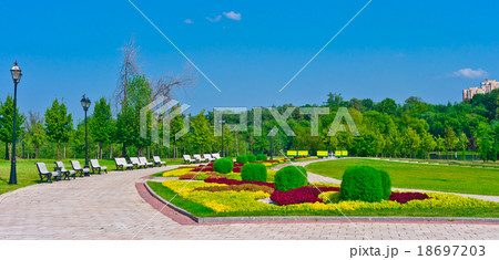 Summer park landscape 18697203