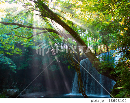森の奥深くの滝 18698102