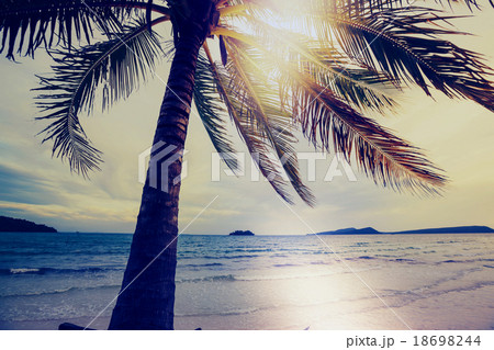 Tropical beach 18698244