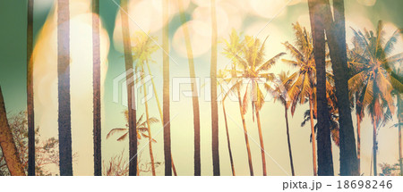 Tropical beach 18698246